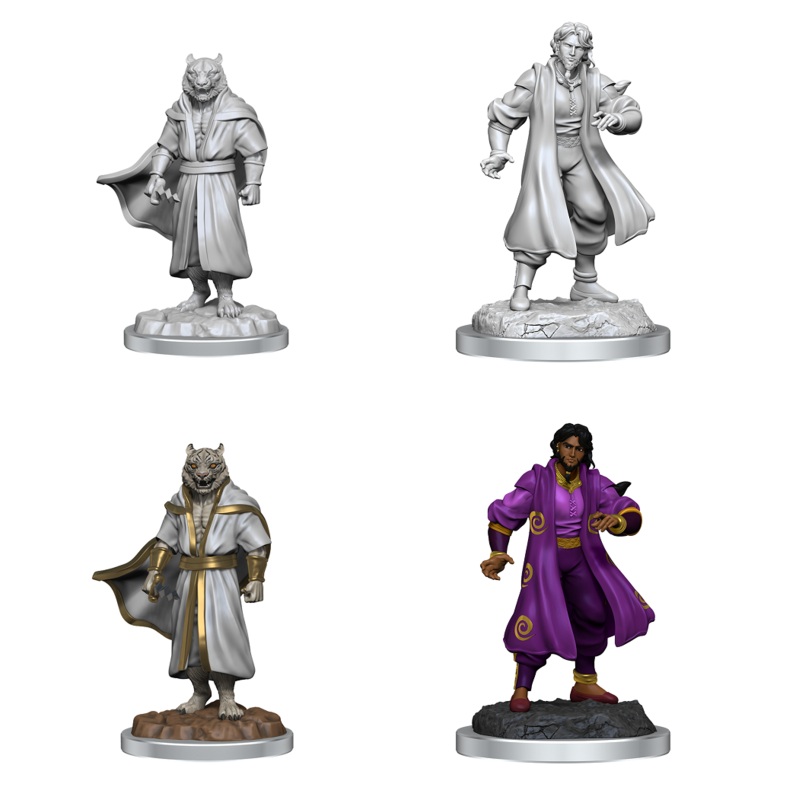 CR Unpainted Minis: Wave 3: Male Sorcerer Merchant/Tiger
