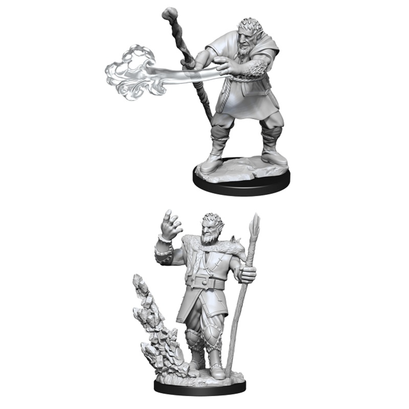 D&D Unpainted Minis: Wave 9: Male Firbolg Druid