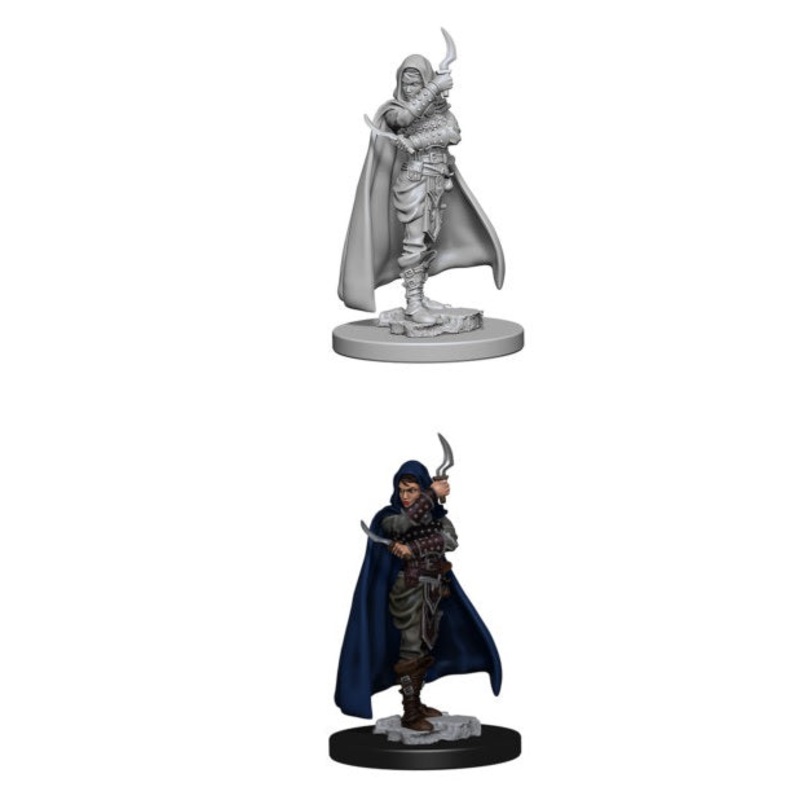 PF Unpainted Miniatures Wave 1: Human Female Rogue