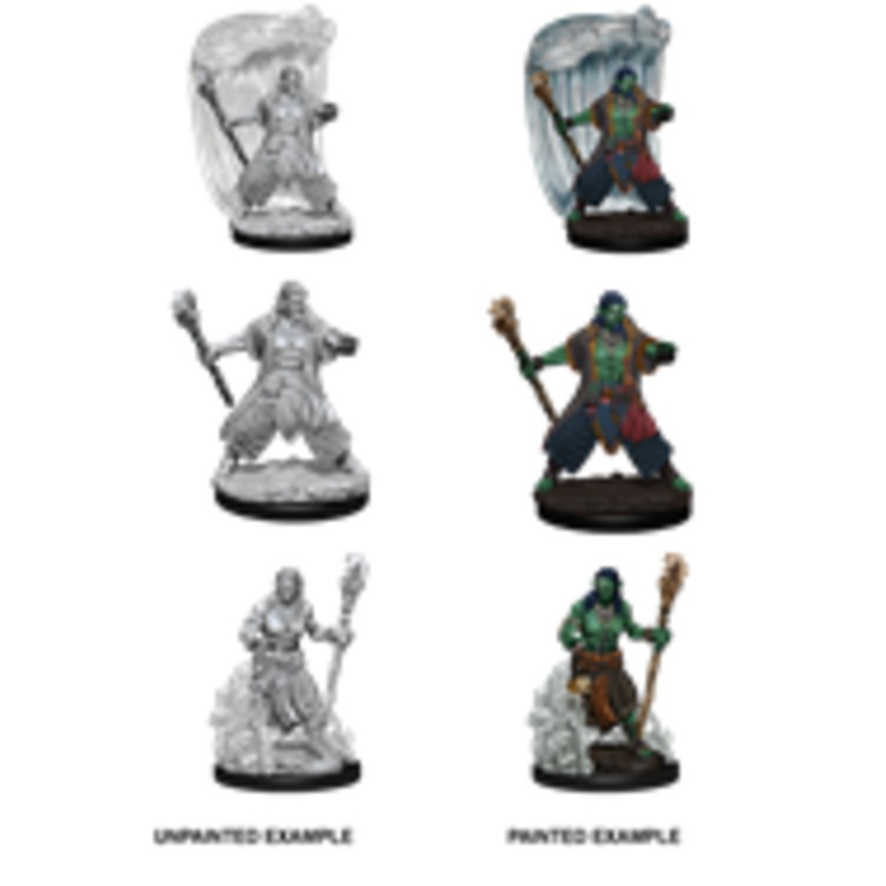 D&D Unpainted Minis: Wave 5: Water Genasi Druid