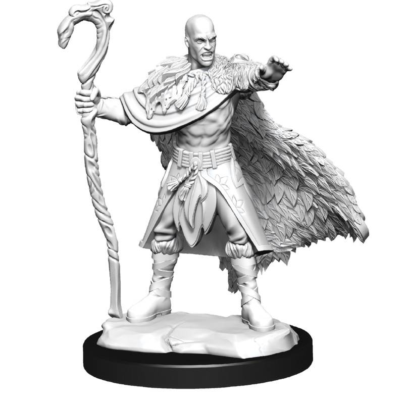 D&D Nolzurs Marvelous Unpainted Miniatures: Wave 14: Human Druid